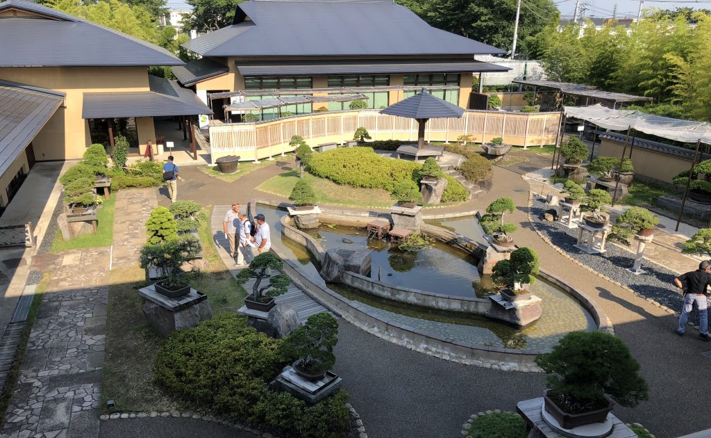 Bonsai Museum