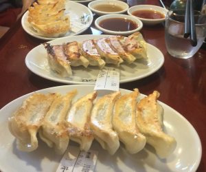 Fried Dumplings