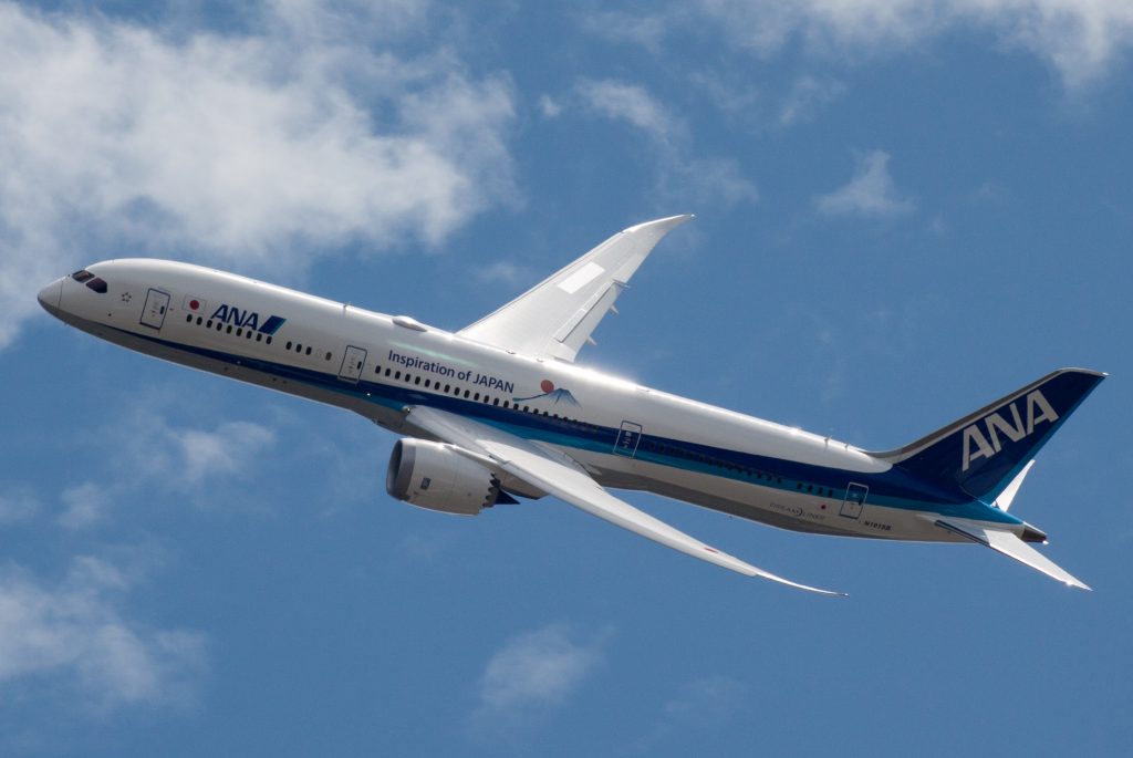 ANA Airplane