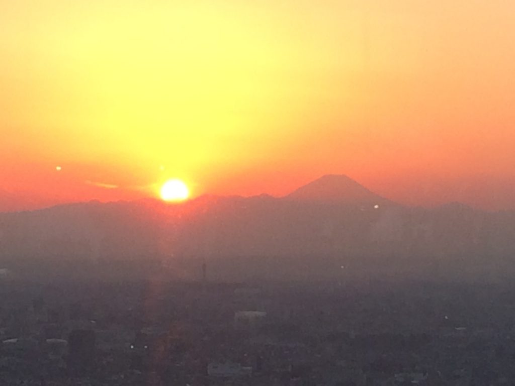 View from the Shinjuku Twin Towers