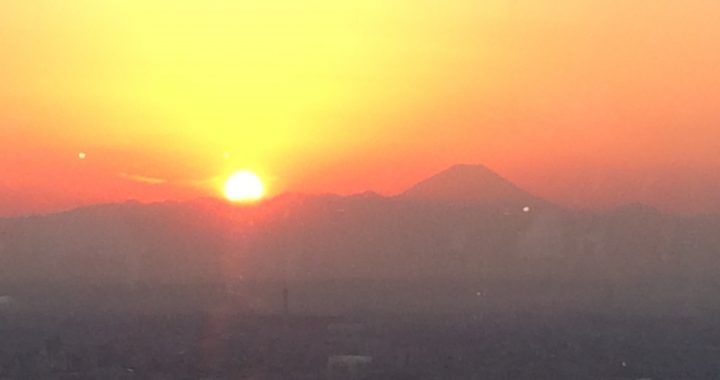 View from the Shinjuku Twin Towers