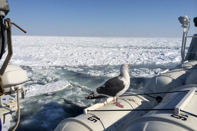 Sea Ice