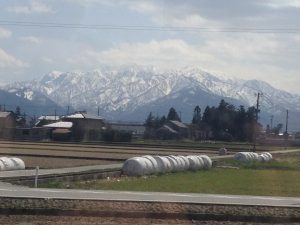 Toyama City View