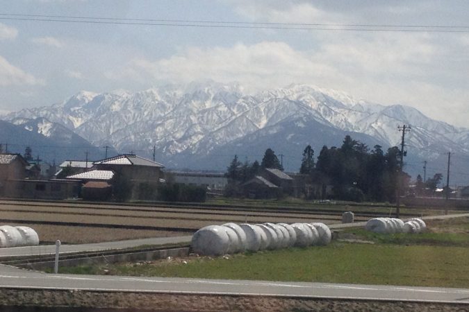 Toyama City View