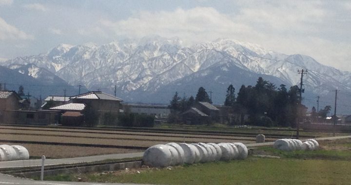 Toyama City View
