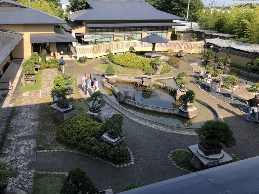 Bonsai Museum